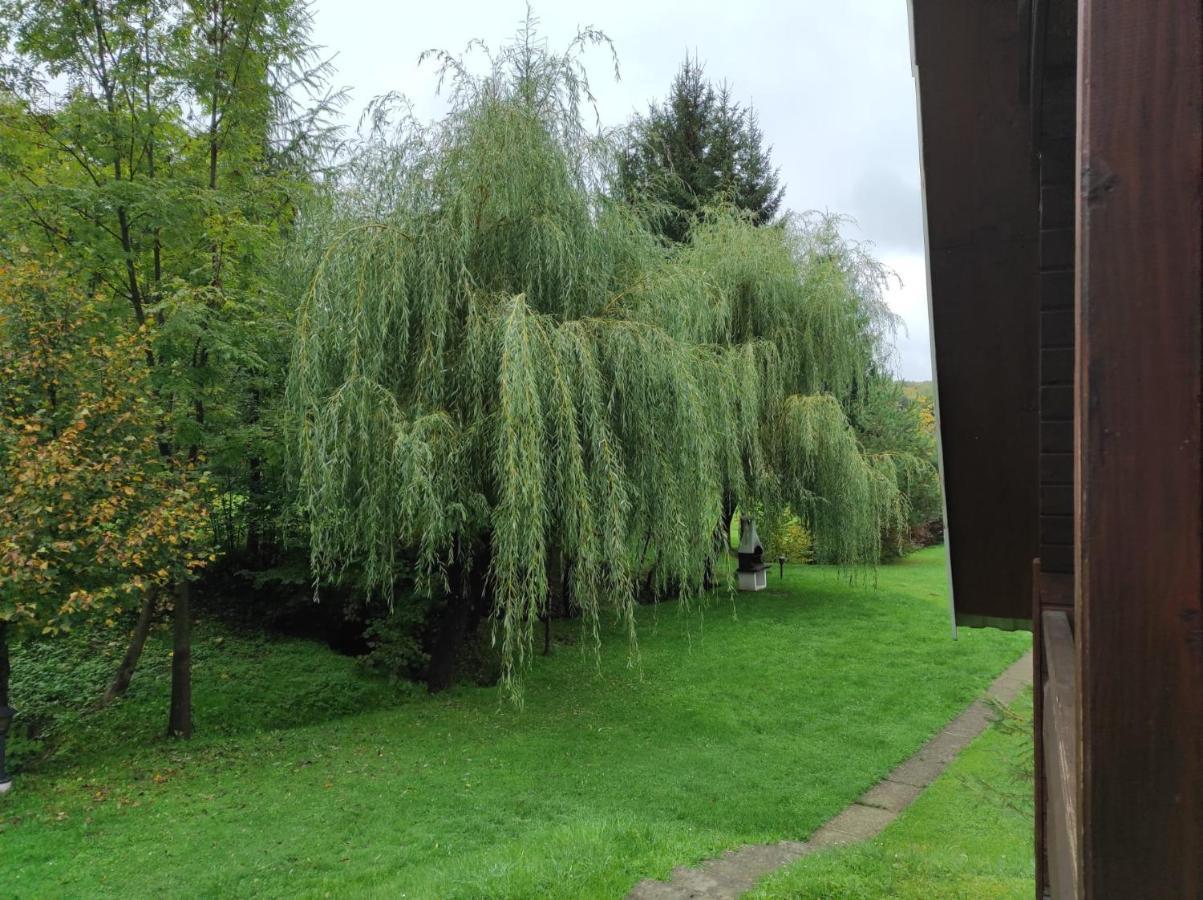 Za Potokiem Villa Солина Екстериор снимка