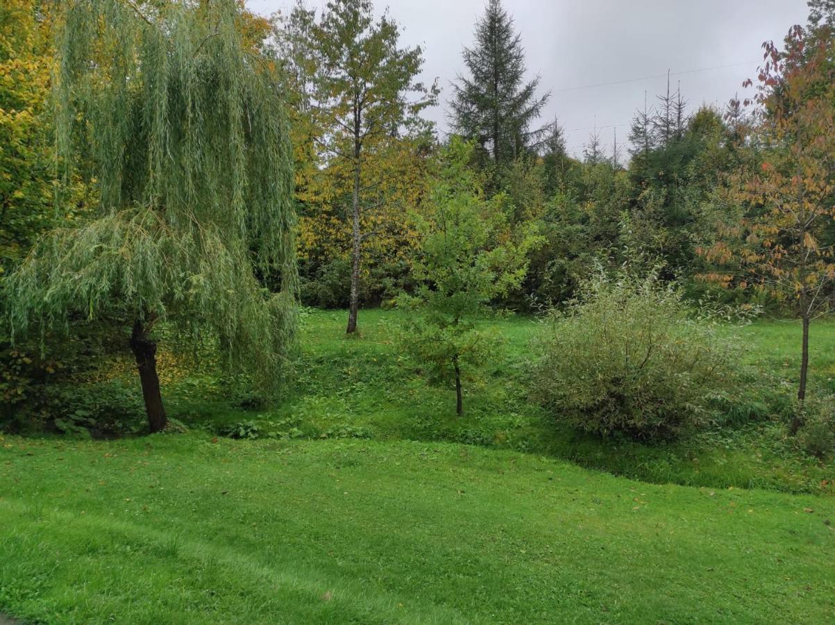 Za Potokiem Villa Солина Екстериор снимка